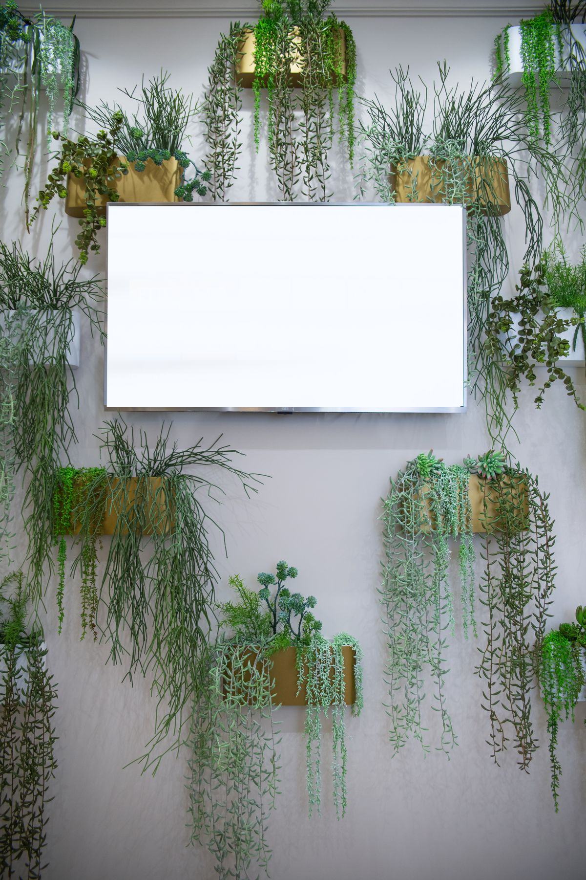 Mur végétal installé dans un espace de bureaux, exemple de budget au m²